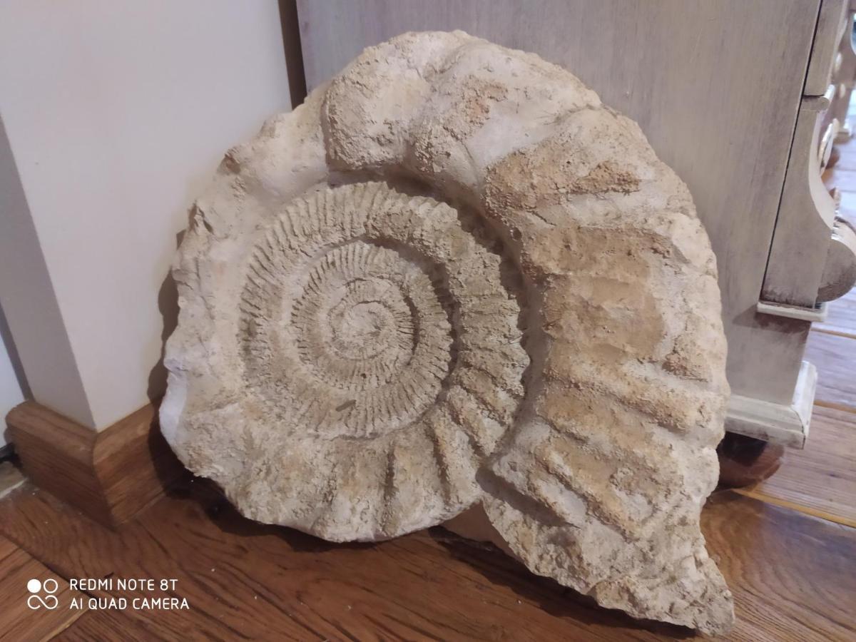 Kamiennikove Villa Kamienniki Dış mekan fotoğraf